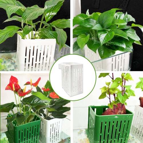 1+1 Free |Innovative Hydroponic Design